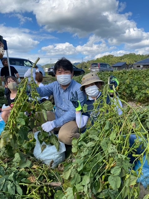 丹波篠山にて黒枝豆採り